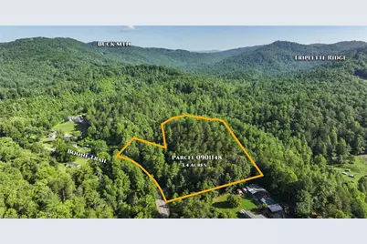 Tbd Boone Trail, Purlear, NC 28665 - Photo 45