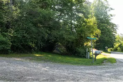 Tbd Boone Trail, Purlear, NC 28665 - Photo 5
