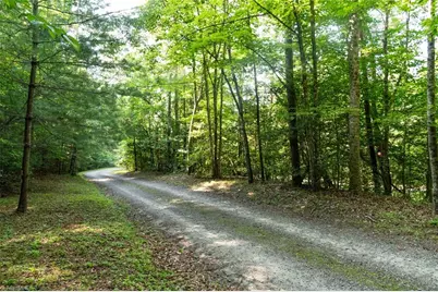 Tbd Boone Trail, Purlear, NC 28665 - Photo 7