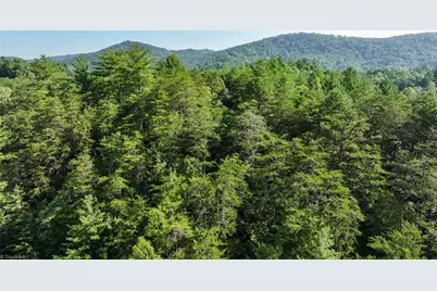 Tbd Boone Trail, Purlear, NC 28665 - Photo 11