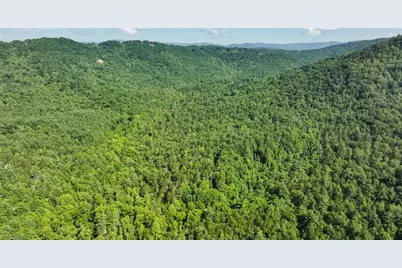 0000 Boone Trail, Purlear, NC 28665 - Photo 27