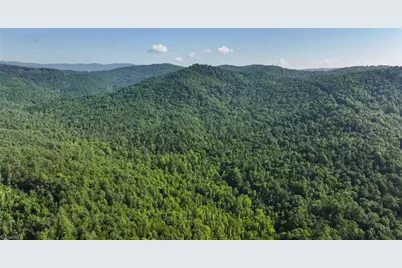 0000 Boone Trail, Purlear, NC 28665 - Photo 15