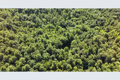 0000 Boone Trail, Purlear, NC 28665 - Photo 39
