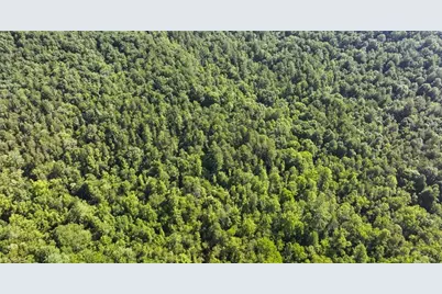0000 Boone Trail, Purlear, NC 28665 - Photo 37