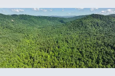 0000 Boone Trail, Purlear, NC 28665 - Photo 33