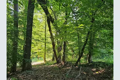 0 S Brenhaven Drive, Elkin, NC 28621 - Photo 3