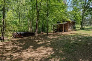 3125 Nc Hwy 62, Blanch, NC 27212 - Photo 41