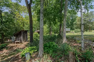 3125 Nc Hwy 62, Blanch, NC 27212 - Photo 45