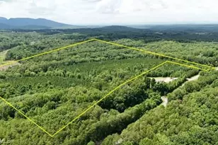 0 Bunker Hill Rd, Walnut Cove, NC 27052 - Photo 1