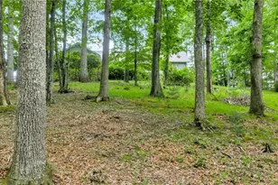 1142 Hartzog Ford Road W, West Jefferson, NC 28694 - Photo 43