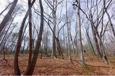0 Johnson Farm Road #1, Pilot Mountain, NC 27041 - Photo 15