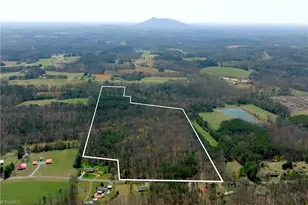 0 Johnson Farm Rd, Pilot Mountain, NC 27041 - Photo 1