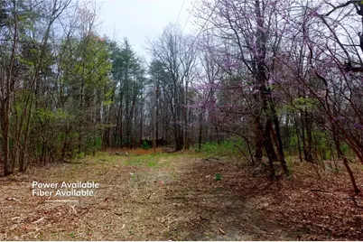 0 Johnson Farm Road #1, Pilot Mountain, NC 27041 - Photo 3