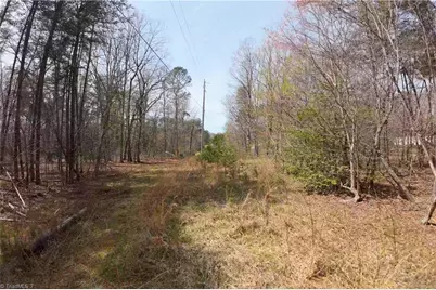 0 Johnson Farm Road #1, Pilot Mountain, NC 27041 - Photo 17