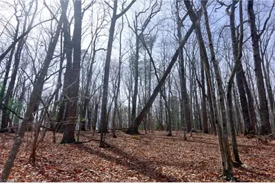 0 Johnson Farm Road #2, Pilot Mountain, NC 27041 - Photo 13