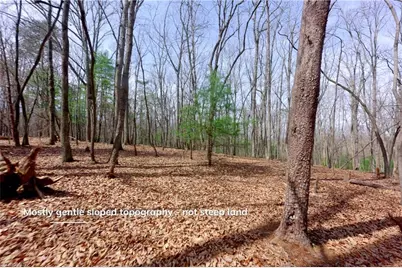 0 Johnson Farm Road #2, Pilot Mountain, NC 27041 - Photo 3