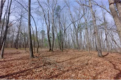 0 Johnson Farm Road #2, Pilot Mountain, NC 27041 - Photo 11