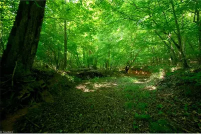 0 Todd Road, Advance, NC 27006 - Photo 25