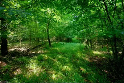 0 Todd Road, Advance, NC 27006 - Photo 39
