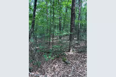 1070 Elm Street, Danbury, NC 27016 - Photo 3