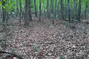 1070 Elm St, Danbury, NC 27016 - Photo 1