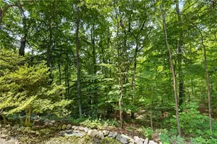 6809 Brookbank Rd, Summerfield, NC 27358 - Photo 49
