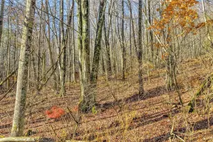 1451 Elliott Rd, West Jefferson, NC 28694 - Photo 7