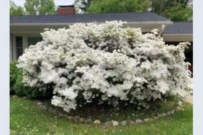 305 Hilltop Drive, Lexington, NC 27292 - Photo 25