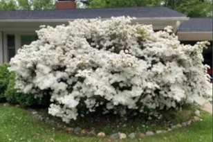 305 Hilltop Dr, Lexington, NC 27292 - Photo 25