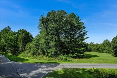 Lot 3 Henry Road, Madison, NC 27025 - Photo 5