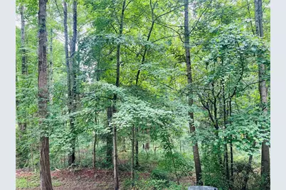 2214 Old Highway 601, Mount Airy, NC 27030 - Photo 33