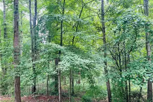 2214 Old Hwy 601, Mount Airy, NC 27030 - Photo 33