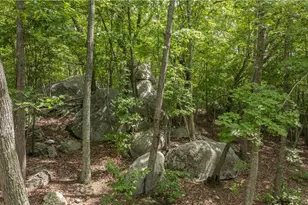 2717 Nc Hwy 49 S, Asheboro, NC 27205 - Photo 39