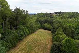 887 Bryan Rd, Westfield, NC 27053 - Photo 43