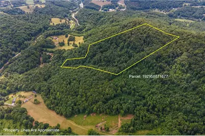 0 Tom Pless Road, Warrensville, NC 28693 - Photo 13