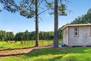 7934 Chapel Hill Church Rd, Denton, NC 27239 - Photo 39