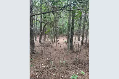 0 S Stokes School Road, Walnut Cove, NC 27052 - Photo 3