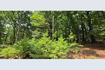 139 Little Creek Lane, Glade Valley, NC 28627 - Photo 37