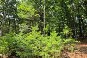 139 Little Creek Ln, Glade Valley, NC 28627 - Photo 31