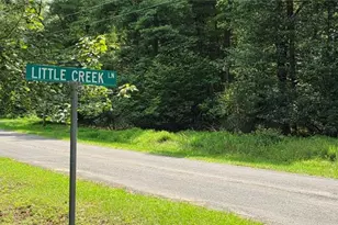 139 Little Creek Ln, Glade Valley, NC 28627 - Photo 33