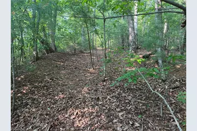 0000 N Old Nc Highway 16, Millers Creek, NC 28651 - Photo 23