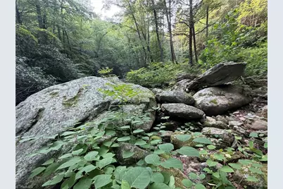 0000 N Old Nc Highway 16, Millers Creek, NC 28651 - Photo 5