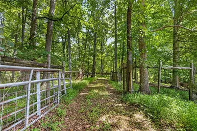 4262 Nc Highway 49 S, Asheboro, NC 27205 - Photo 29