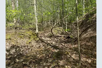 000 Nc Highway 268, Wilkesboro, NC 28697 - Photo 29