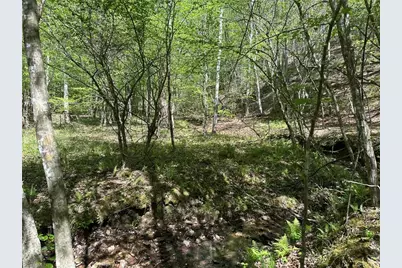 000 Nc Highway 268, Wilkesboro, NC 28697 - Photo 19