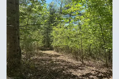 000 Nc Highway 268, Wilkesboro, NC 28697 - Photo 9