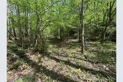 000 Nc Highway 268, Wilkesboro, NC 28697 - Photo 15