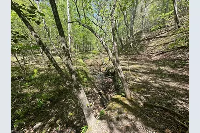 000 Nc Highway 268, Wilkesboro, NC 28697 - Photo 21