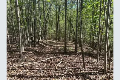 000 Nc Highway 268, Wilkesboro, NC 28697 - Photo 37