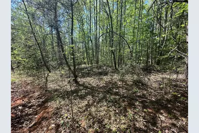 000 Nc Highway 268, Wilkesboro, NC 28697 - Photo 11